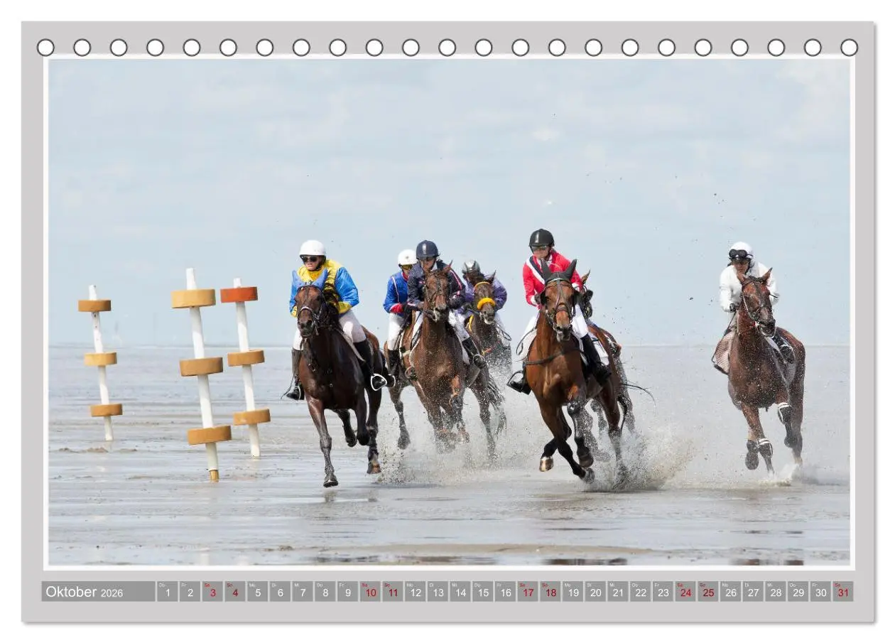 Bild: 9783457638408 | Pferde-Rennen auf Schnee und im Wasser (Tischkalender 2026 DIN A5...