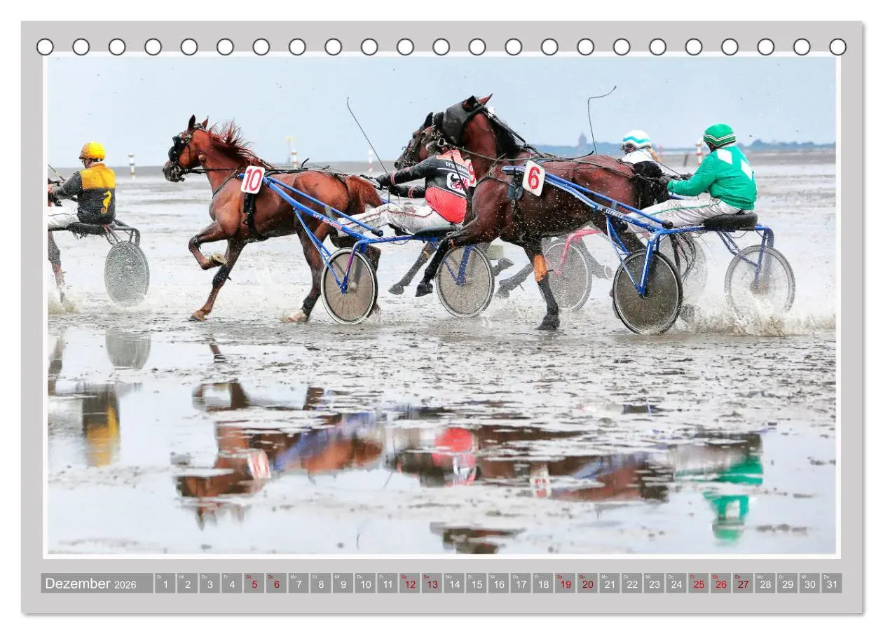 Bild: 9783457638408 | Pferde-Rennen auf Schnee und im Wasser (Tischkalender 2026 DIN A5...