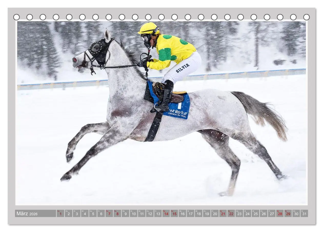 Bild: 9783457638408 | Pferde-Rennen auf Schnee und im Wasser (Tischkalender 2026 DIN A5...