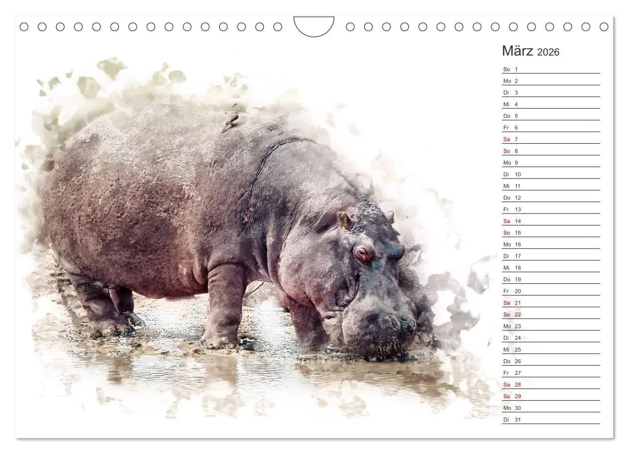 Bild: 9783457878408 | Tierportraits - Fine Art (Wandkalender 2026 DIN A4 quer), CALVENDO...