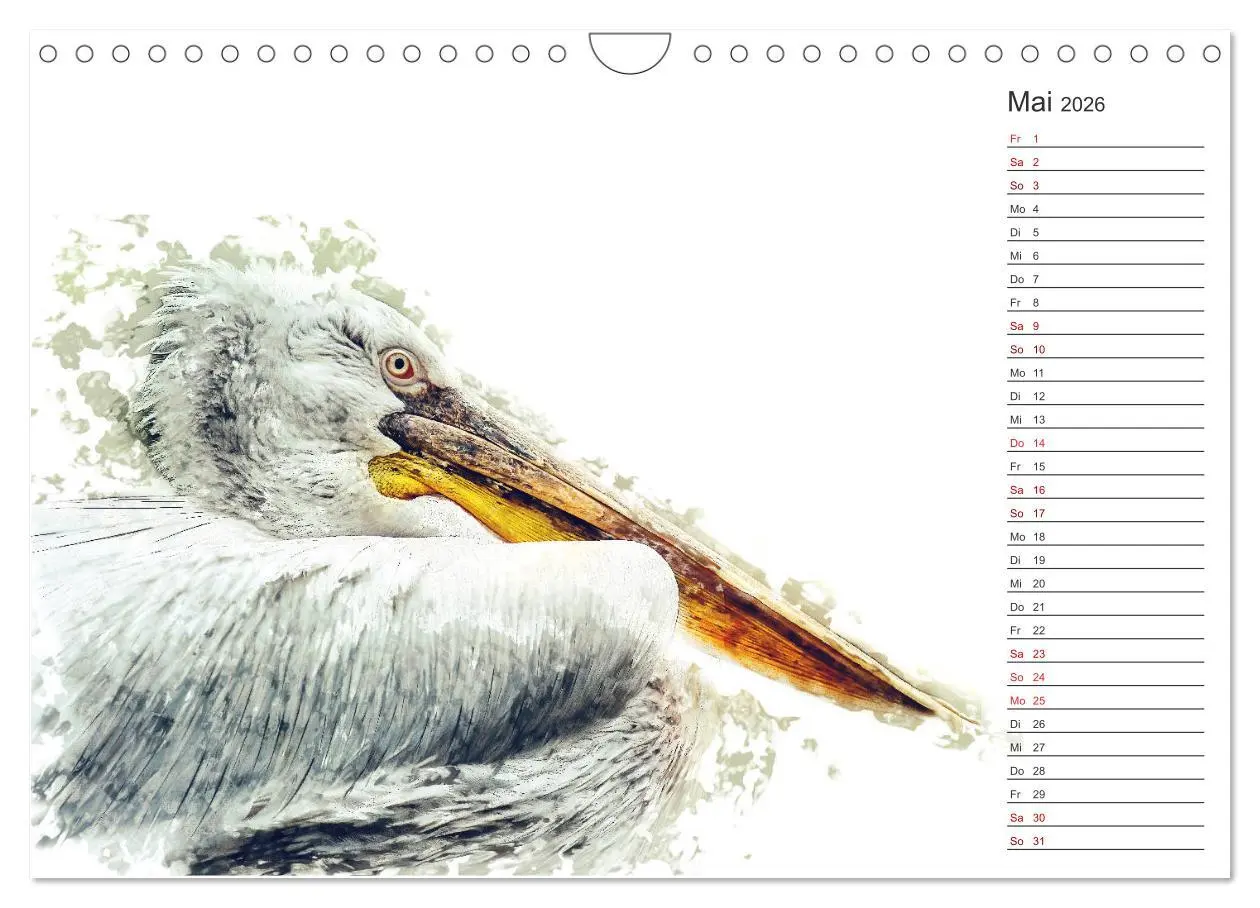 Bild: 9783457878408 | Tierportraits - Fine Art (Wandkalender 2026 DIN A4 quer), CALVENDO...