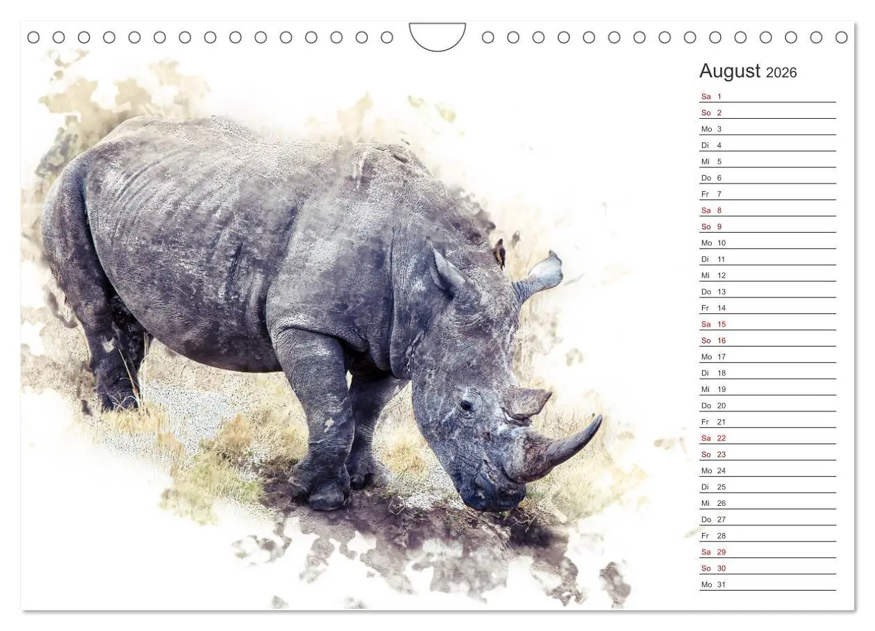 Bild: 9783457878408 | Tierportraits - Fine Art (Wandkalender 2026 DIN A4 quer), CALVENDO...