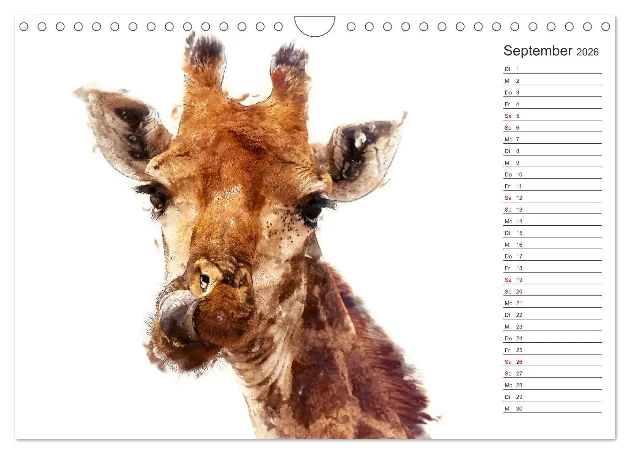 Bild: 9783457878408 | Tierportraits - Fine Art (Wandkalender 2026 DIN A4 quer), CALVENDO...