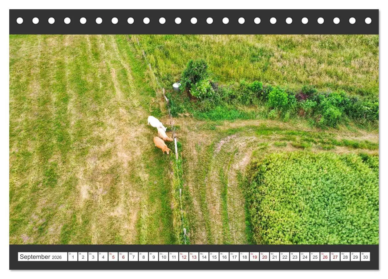 Bild: 9783457628508 | Die Natur von oben - aufgenommen über Deutschland (Tischkalender...