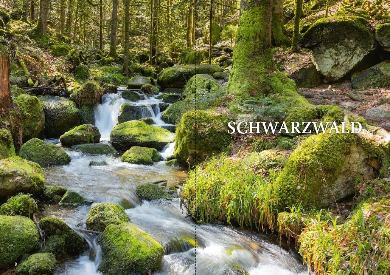 Bild: 9783613048508 | Mit RIDE durch Süddeutschland | Markus Biebricher | Buch | 208 S.