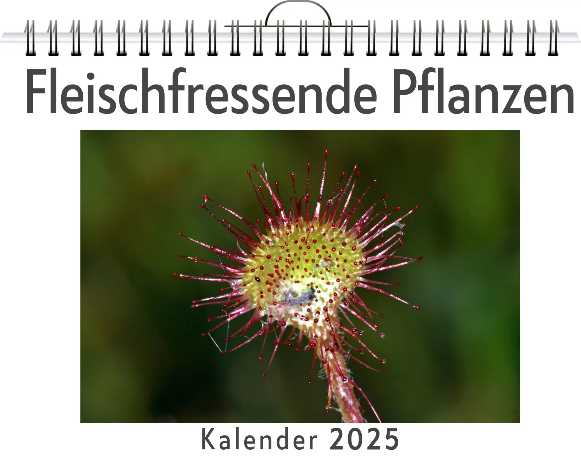 Cover: 9783759128508 | Fleischfressende Pflanzen | Liam Keller | Kalender | Kalender | 14 S.