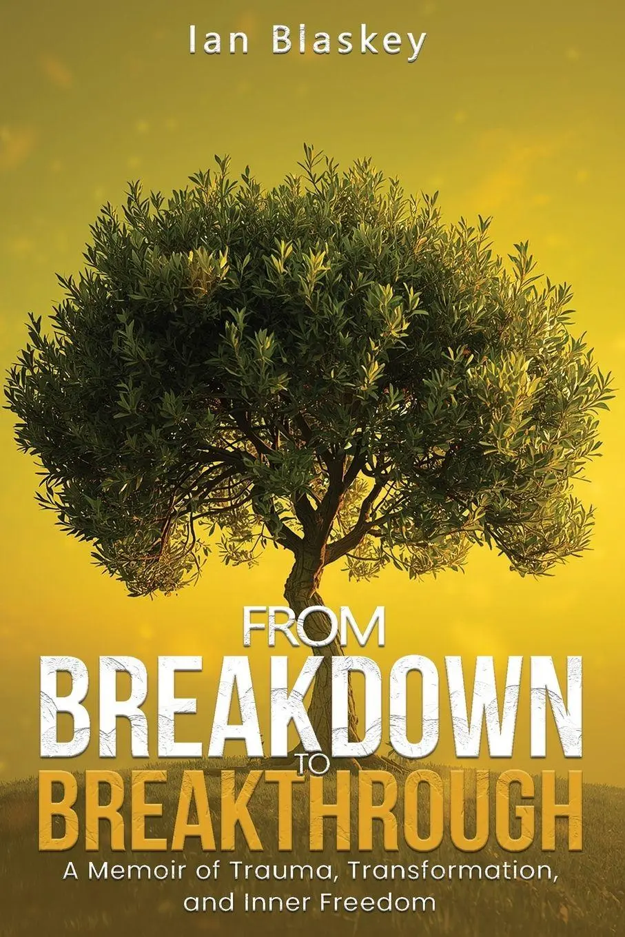 Cover: 9781969818608 | From Breakdown to Breakthrough | Ian Blaskey | Taschenbuch | Englisch