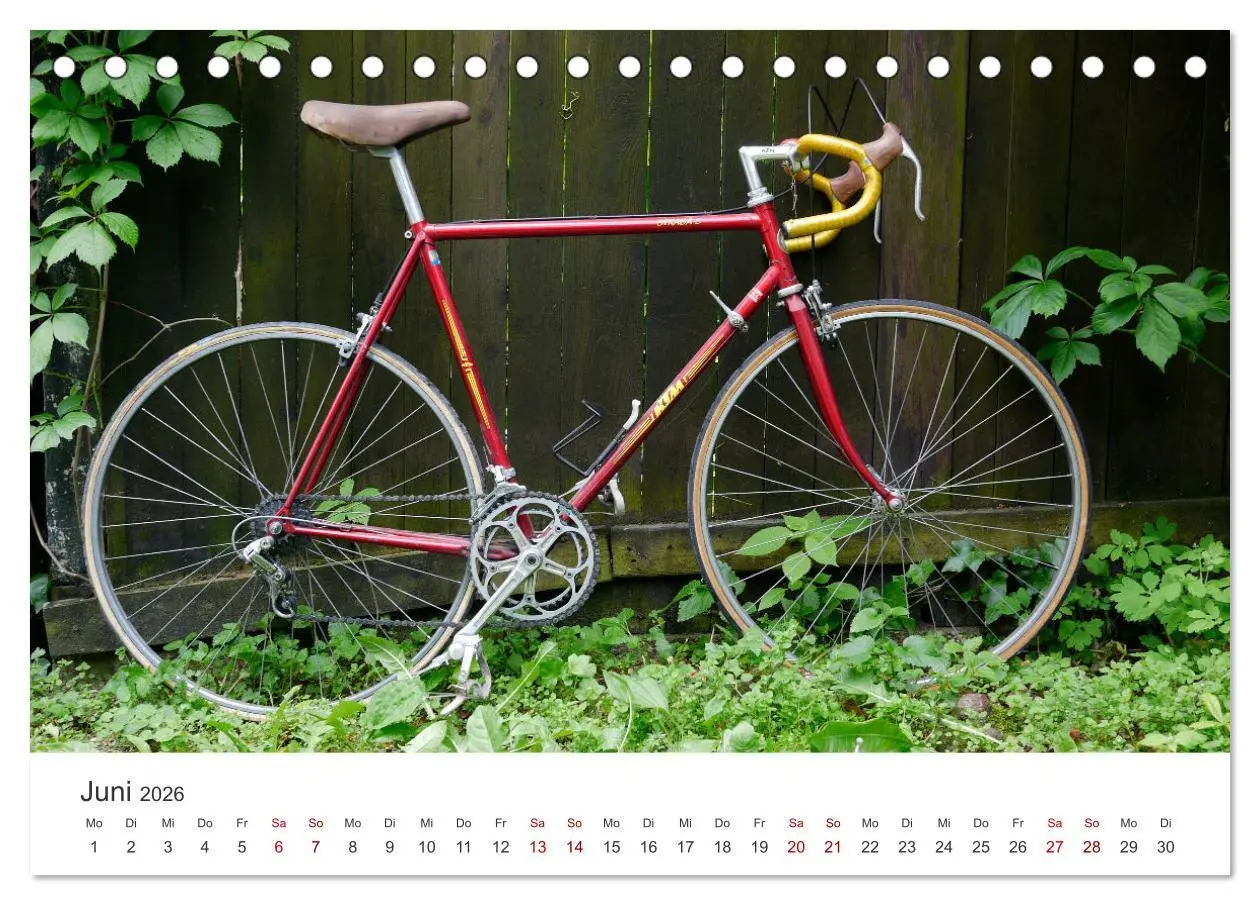Bild: 9783457548608 | Stahlrenner - Rennrad-Klassiker aus Europa (Tischkalender 2026 DIN...
