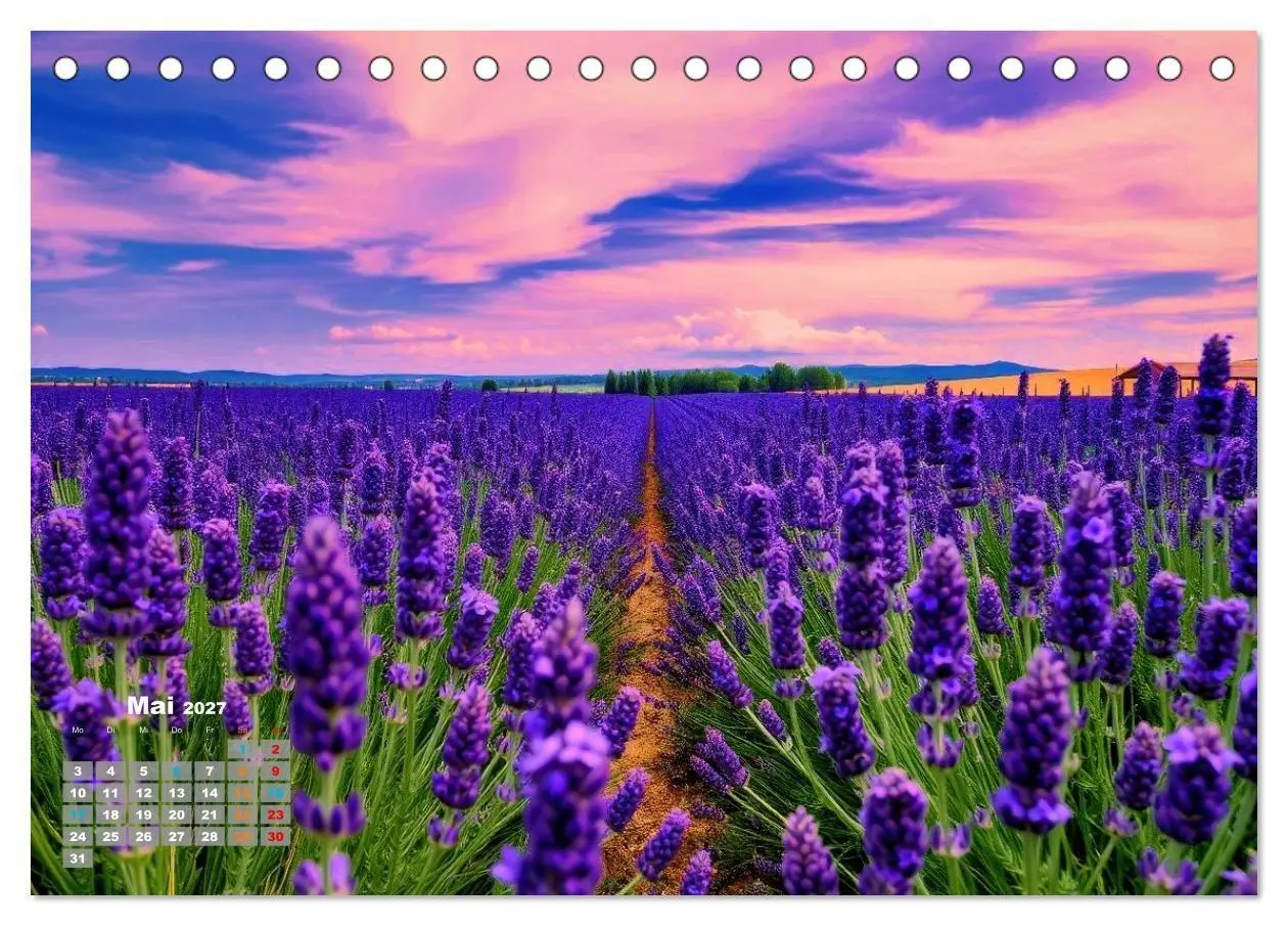 Bild: 9783516878608 | Lavendel für deine Sinne (Tischkalender 2027 DIN A5 quer), CALVENDO...