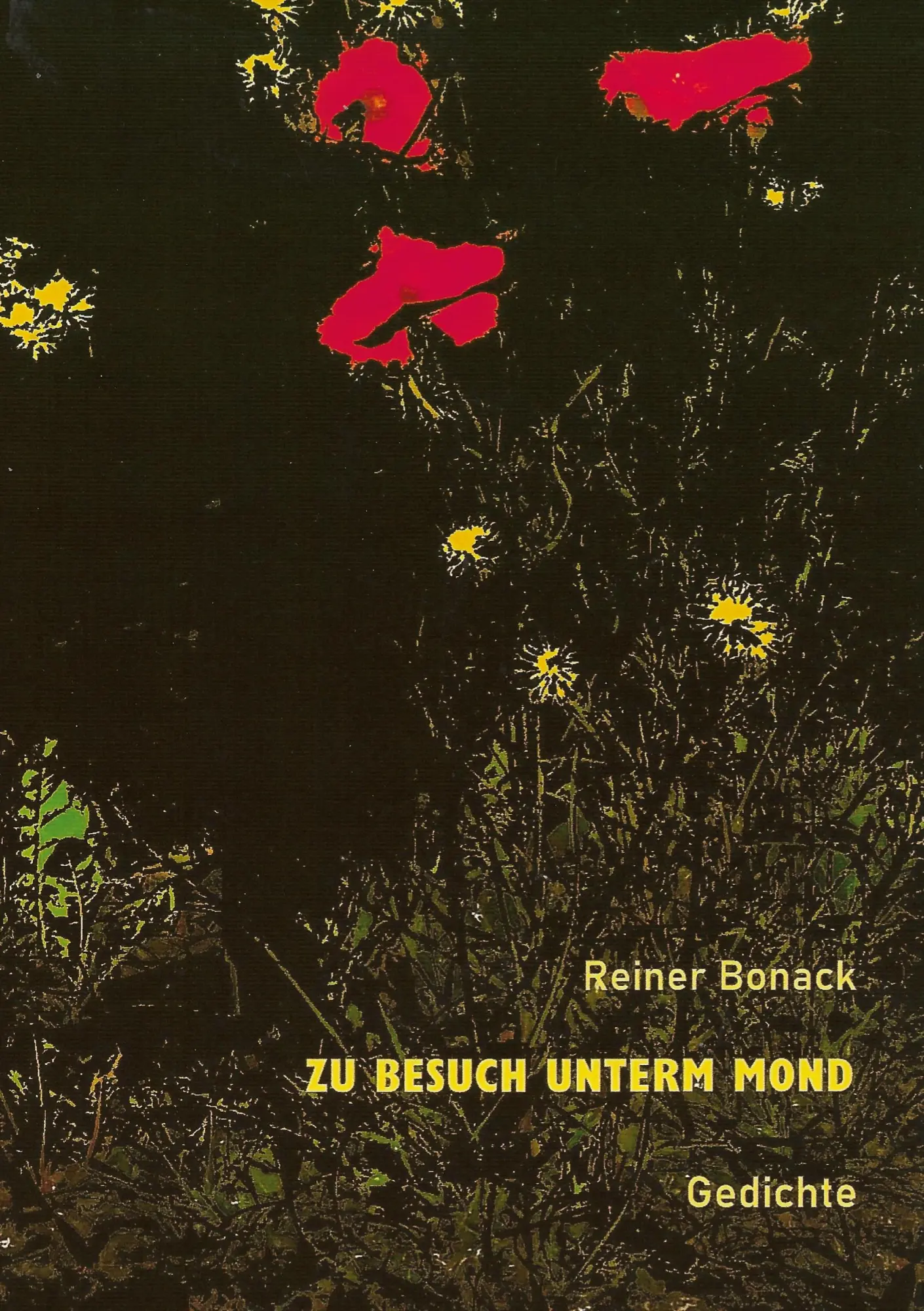 Zu Besuch unterm Mond: Gedichte