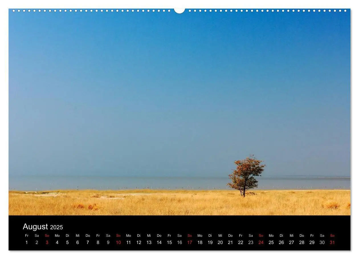 Bild: 9783435828708 | Namibia (Wandkalender 2025 DIN A2 quer), CALVENDO Monatskalender
