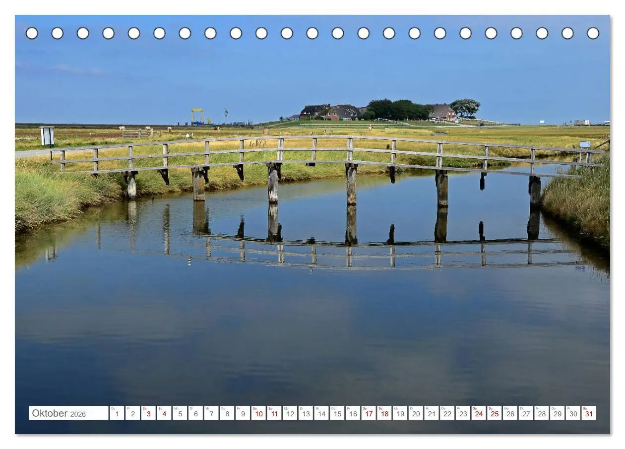 Bild: 9783457918708 | Sommertage auf Hallig Hooge (Tischkalender 2026 DIN A5 quer),...