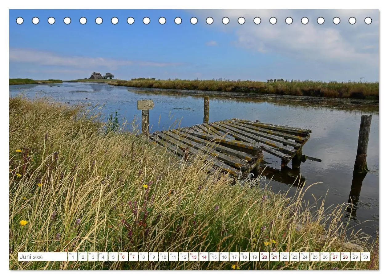 Bild: 9783457918708 | Sommertage auf Hallig Hooge (Tischkalender 2026 DIN A5 quer),...