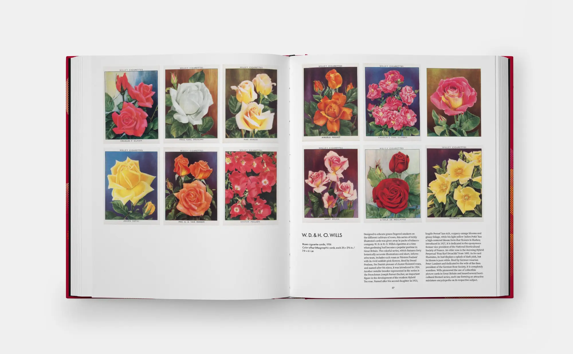 Bild: 9781838668808 | The Rose Book | Phaidon Editors | Buch | 248 S. | Englisch | 2025