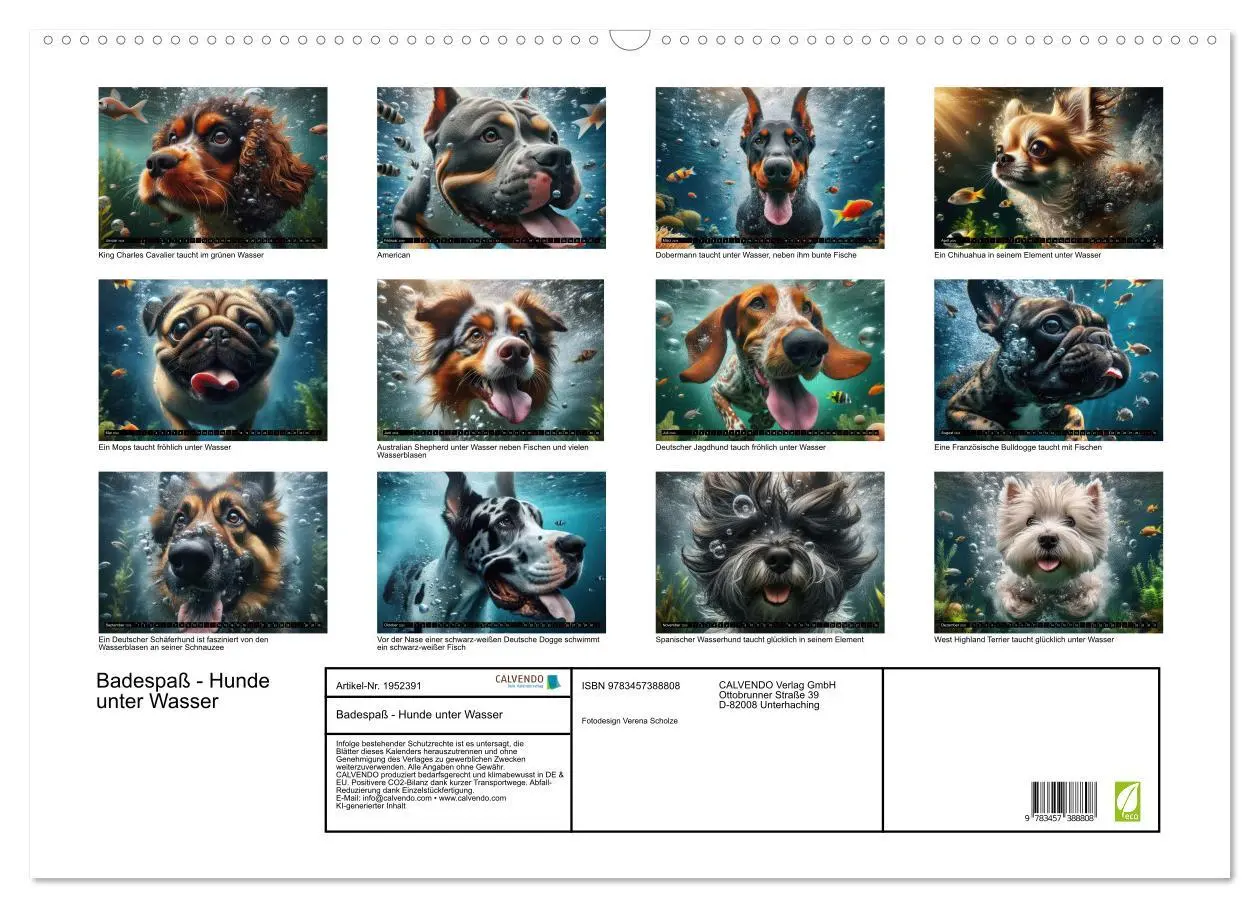 Bild: 9783457388808 | Badespaß - Hunde unter Wasser (Wandkalender 2026 DIN A2 quer),...