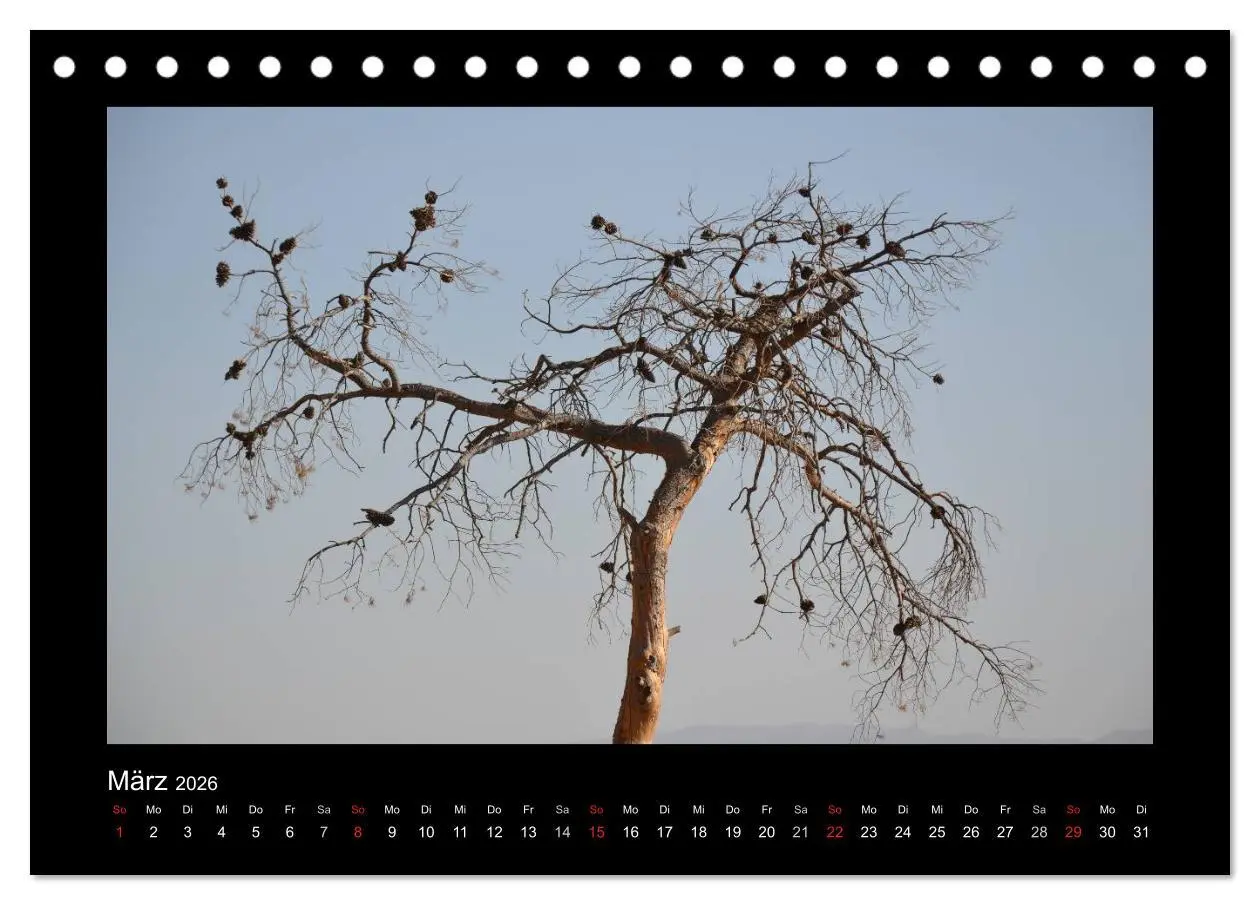 Bild: 9783516168808 | IRAN 2026 (Tischkalender 2026 DIN A5 quer), CALVENDO Monatskalender