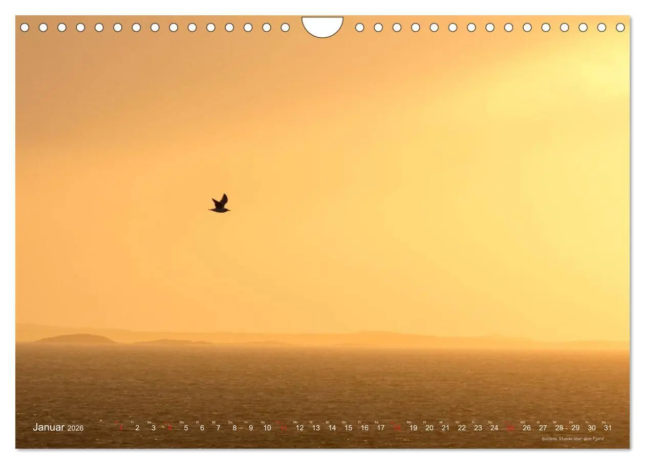Bild: 9783516238808 | Hurtigruten im Winter - Hunting the light (Wandkalender 2026 DIN A4...
