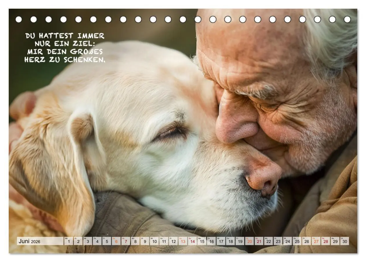 Bild: 9783457378908 | Hunde und berührende Sprüche (Tischkalender 2026 DIN A5 quer),...