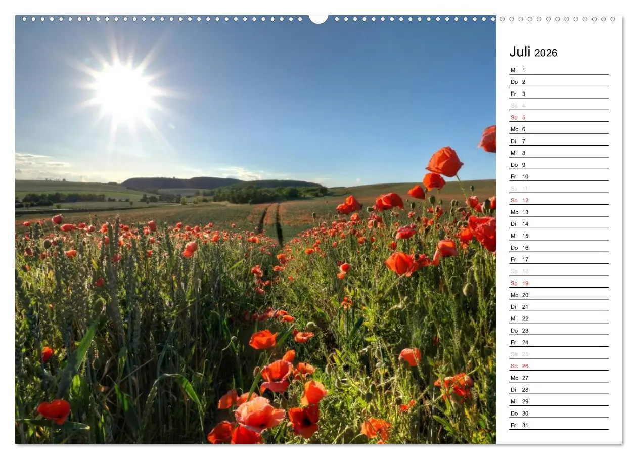 Bild: 9783457688908 | Ein Traum von Mohn (hochwertiger Premium Wandkalender 2026 DIN A2...