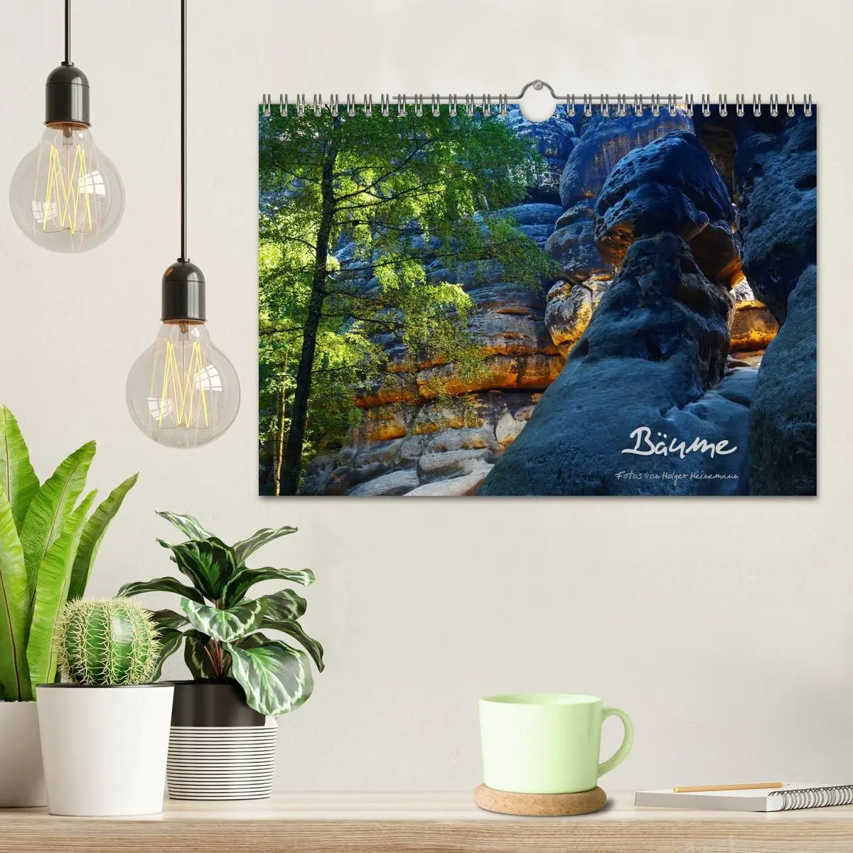 Bild: 9783516228908 | Bäume (Wandkalender 2026 DIN A4 quer), CALVENDO Monatskalender | 2026