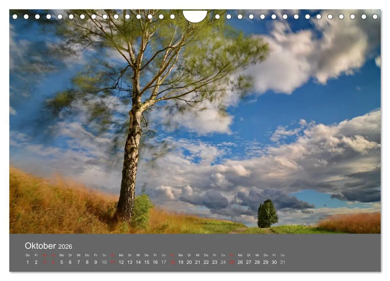Bild: 9783516228908 | Bäume (Wandkalender 2026 DIN A4 quer), CALVENDO Monatskalender | 2026