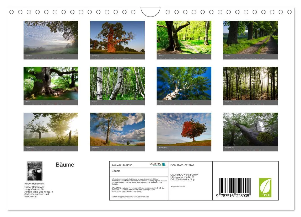 Bild: 9783516228908 | Bäume (Wandkalender 2026 DIN A4 quer), CALVENDO Monatskalender | 2026