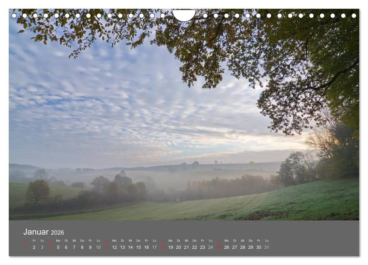 Bild: 9783516228908 | Bäume (Wandkalender 2026 DIN A4 quer), CALVENDO Monatskalender | 2026