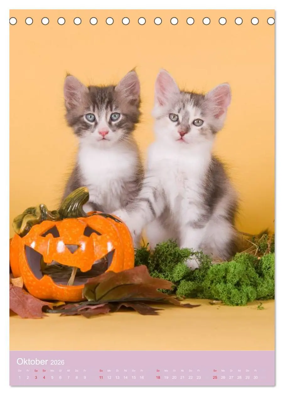 Bild: 9783516468908 | Tierkinder Hunde und Katzen (Tischkalender 2026 DIN A5 hoch),...