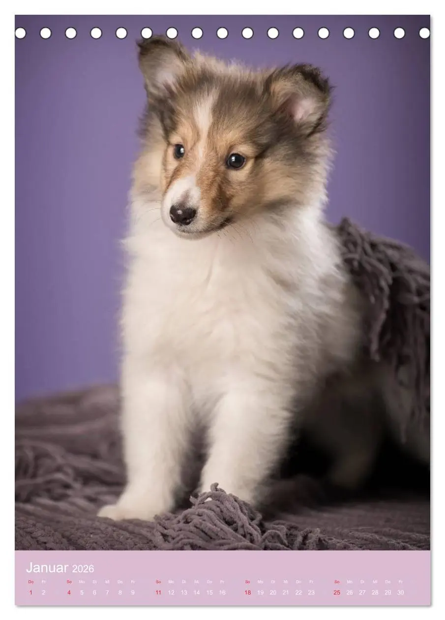 Bild: 9783516468908 | Tierkinder Hunde und Katzen (Tischkalender 2026 DIN A5 hoch),...