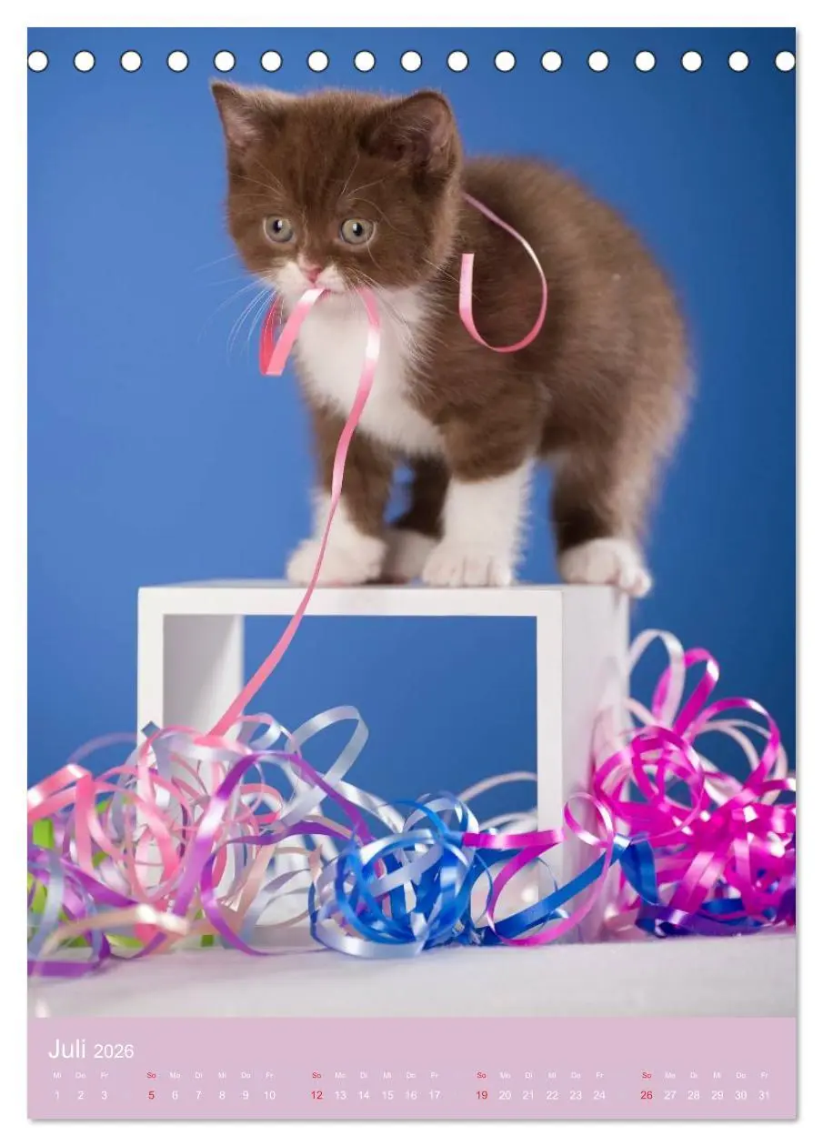 Bild: 9783516468908 | Tierkinder Hunde und Katzen (Tischkalender 2026 DIN A5 hoch),...