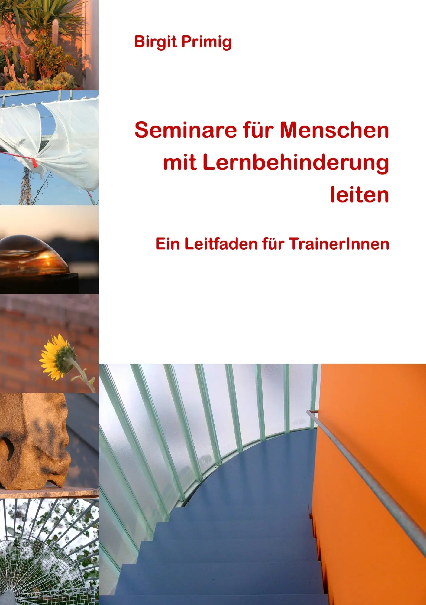 Cover: 9783842318908 | Seminare für Menschen mit Lernbehinderung leiten | Birgit Primig