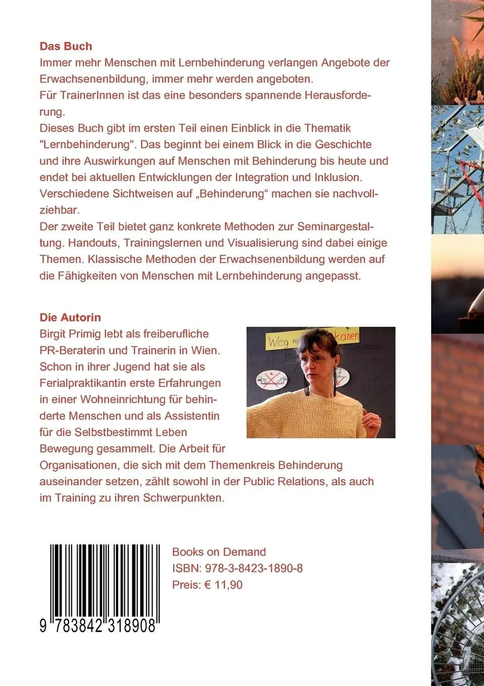 Rückseite: 9783842318908 | Seminare für Menschen mit Lernbehinderung leiten | Birgit Primig