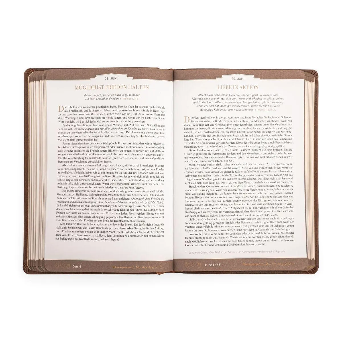 Bild: 9783947978908 | Wahrheit fürs Leben | Band 1 | Alistair Begg | Buch | Deutsch | 2026