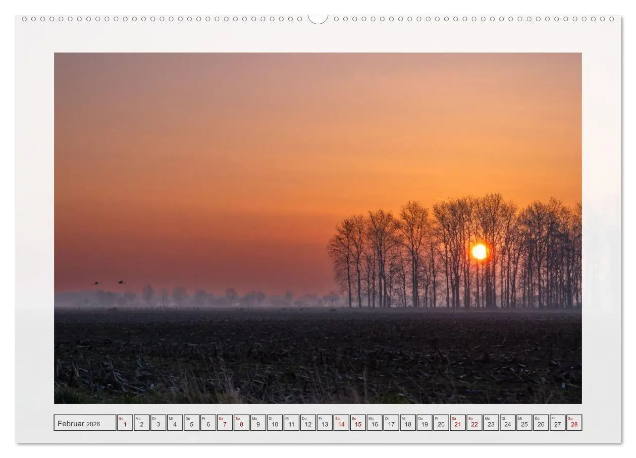 Bild: 9783457339008 | Naturpark Dümmer (Wandkalender 2026 DIN A2 quer), CALVENDO...