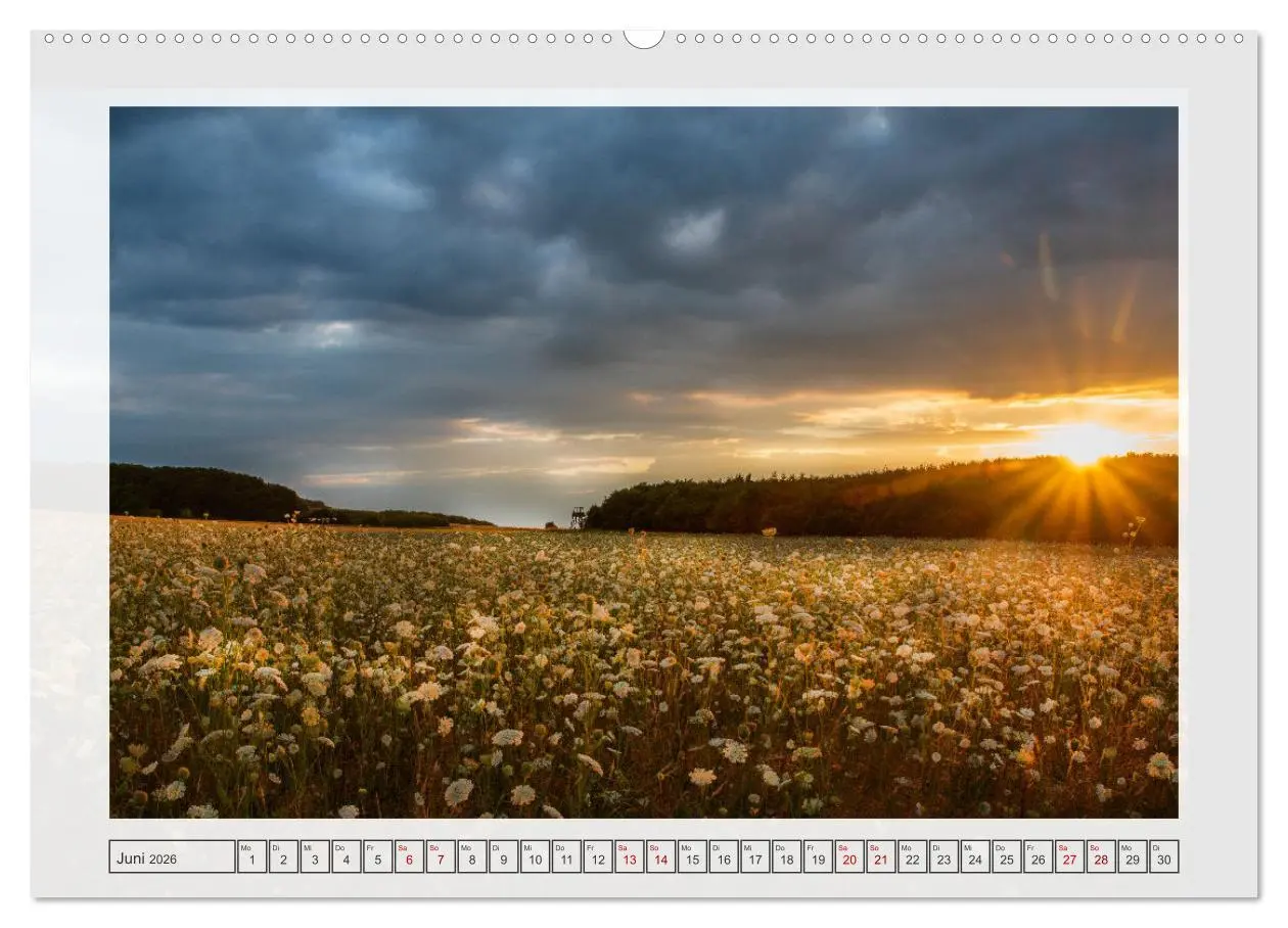 Bild: 9783457339008 | Naturpark Dümmer (Wandkalender 2026 DIN A2 quer), CALVENDO...