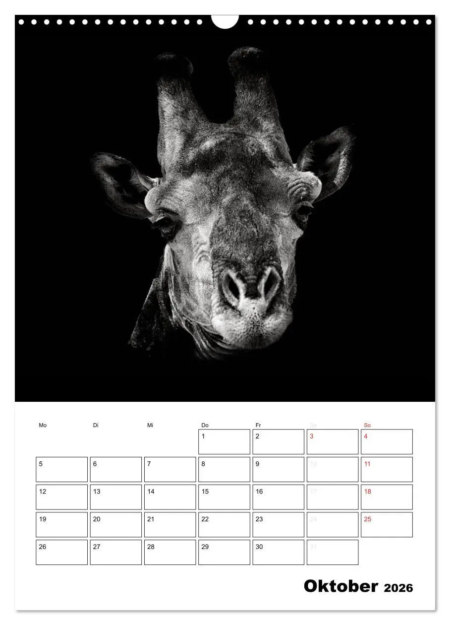 Bild: 9783516429008 | Charakterköpfe aus der Welt der Tiere (Wandkalender 2026 DIN A3...