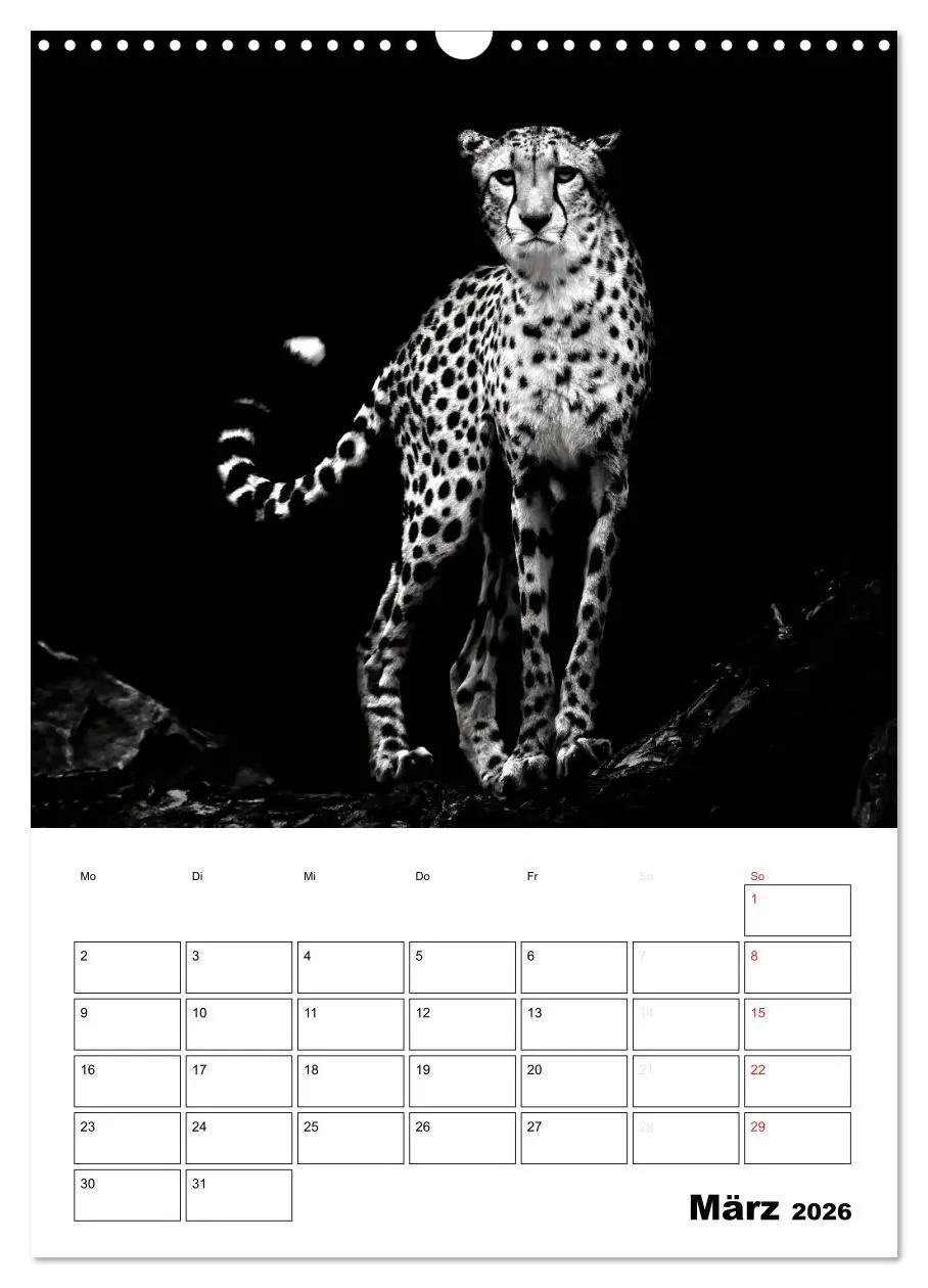 Bild: 9783516429008 | Charakterköpfe aus der Welt der Tiere (Wandkalender 2026 DIN A3...