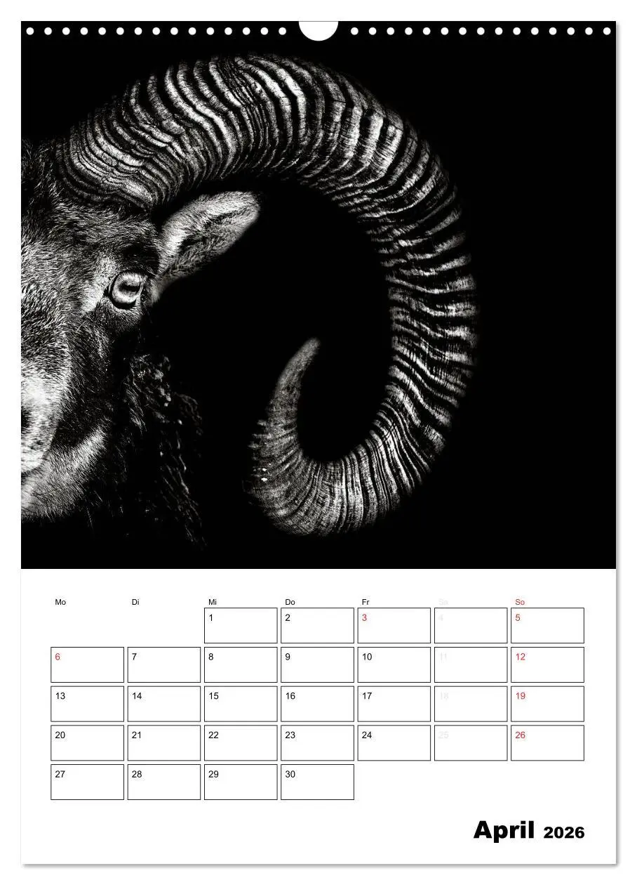 Bild: 9783516429008 | Charakterköpfe aus der Welt der Tiere (Wandkalender 2026 DIN A3...