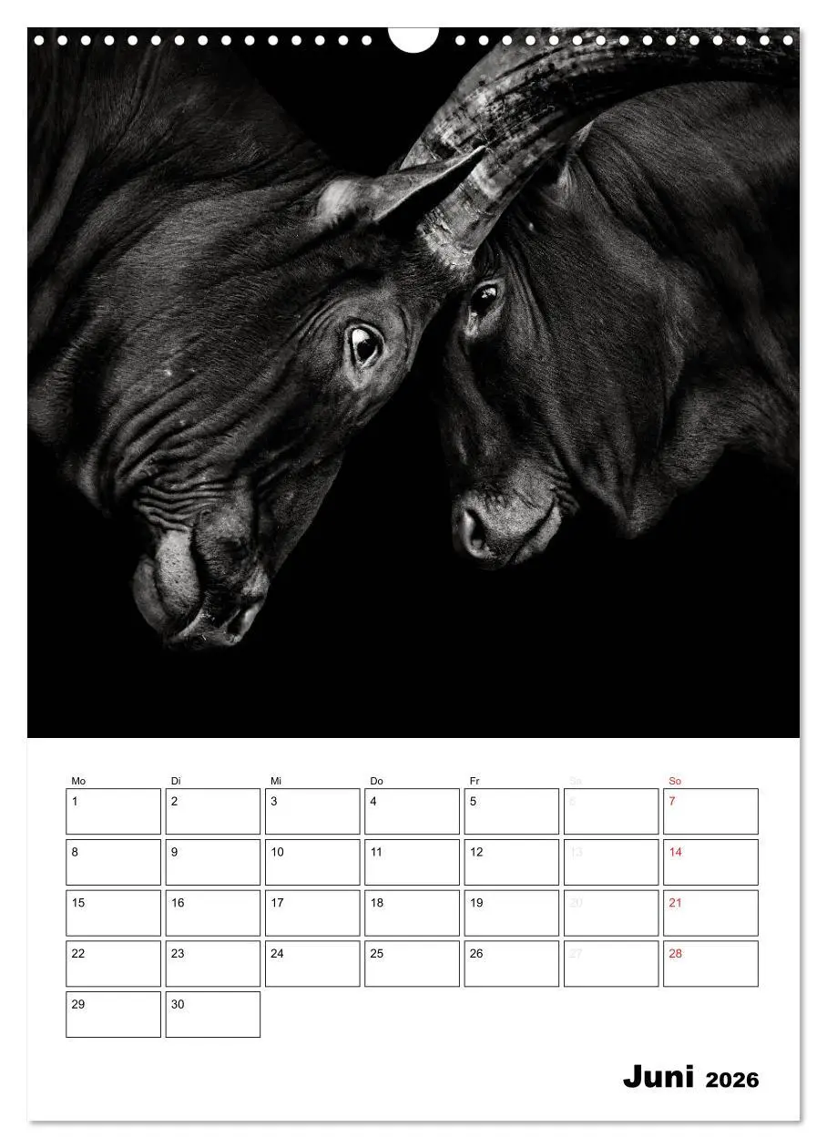 Bild: 9783516429008 | Charakterköpfe aus der Welt der Tiere (Wandkalender 2026 DIN A3...
