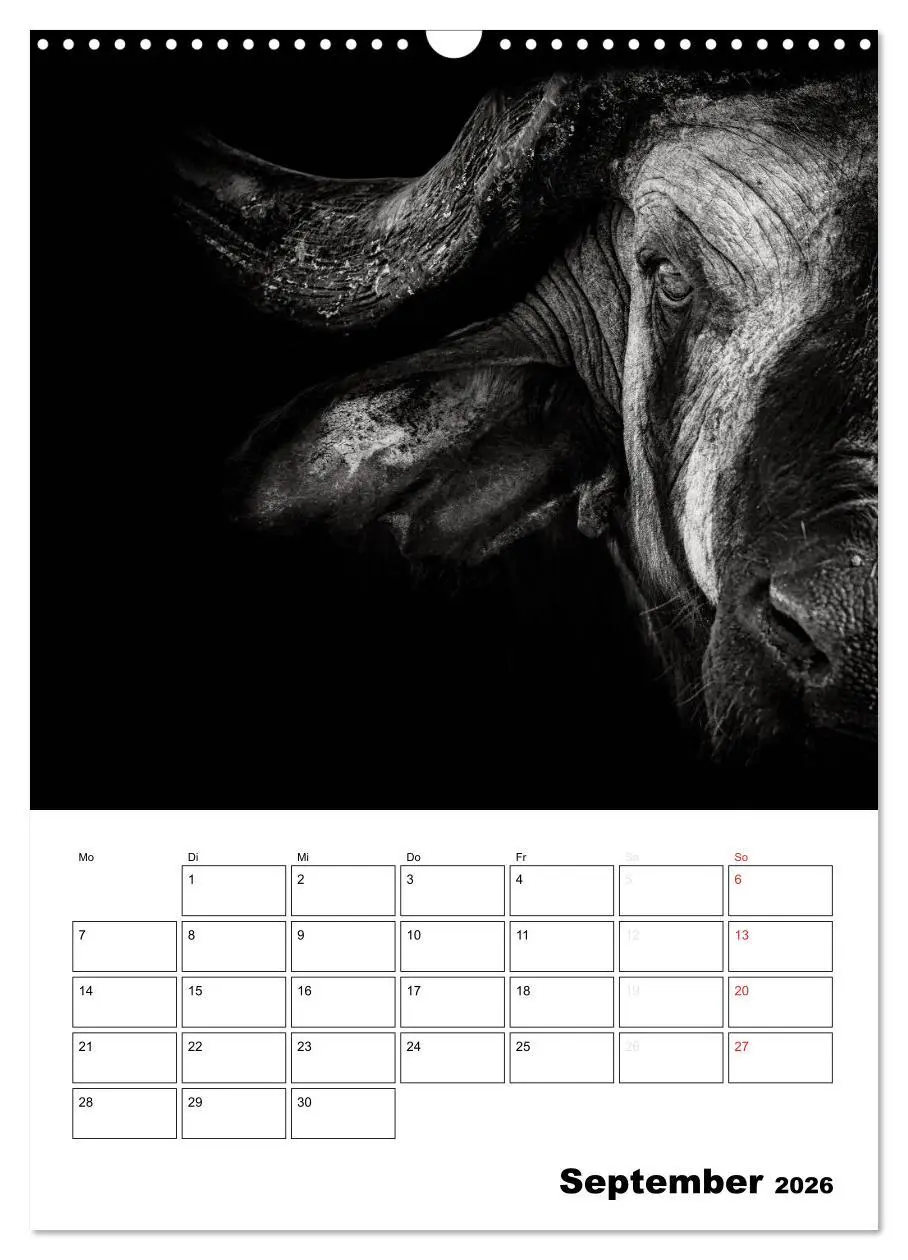 Bild: 9783516429008 | Charakterköpfe aus der Welt der Tiere (Wandkalender 2026 DIN A3...