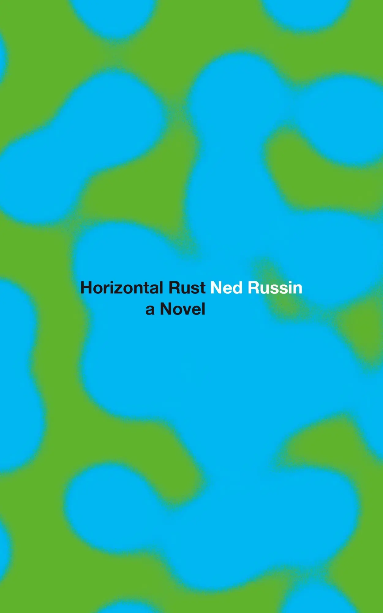Cover: 9781736499108 | Horizontal Rust | Ned Russin | Taschenbuch | Englisch | 2021