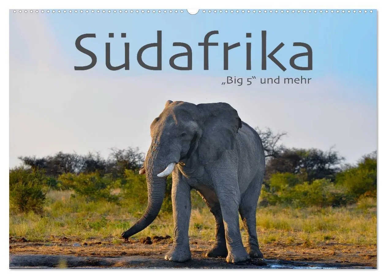 Cover: 9783457949108 | Südafrika - Big 5 und mehr (Wandkalender 2026 DIN A2 quer),...