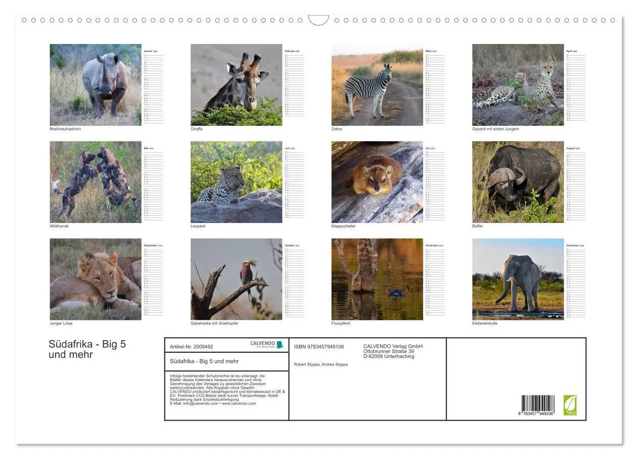 Bild: 9783457949108 | Südafrika - Big 5 und mehr (Wandkalender 2026 DIN A2 quer),...