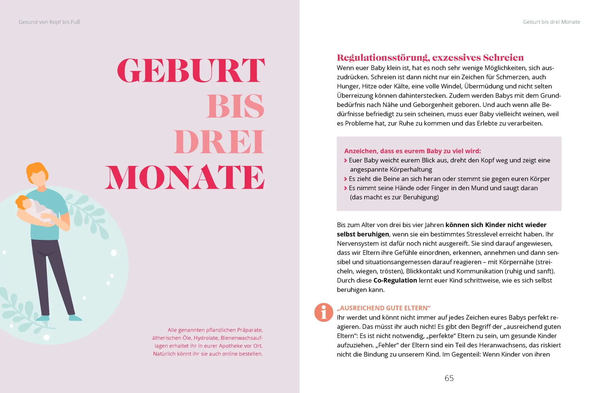 Bild: 9783910509108 | So bleibt dein Baby gesund | Catharina Amarell | Taschenbuch | 192 S.
