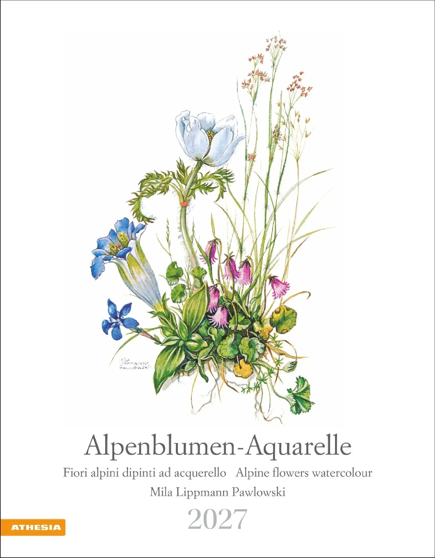 Cover: 9788868399108 | Alpenblumen-Aquarelle Kalender 2027 | Mila Lippmann-Pawlowski | 14 S.