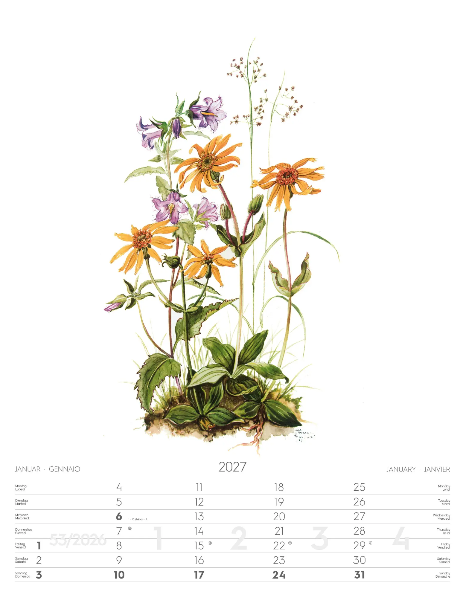 Bild: 9788868399108 | Alpenblumen-Aquarelle Kalender 2027 | Athesia-Tappeiner Verlag | 14 S.