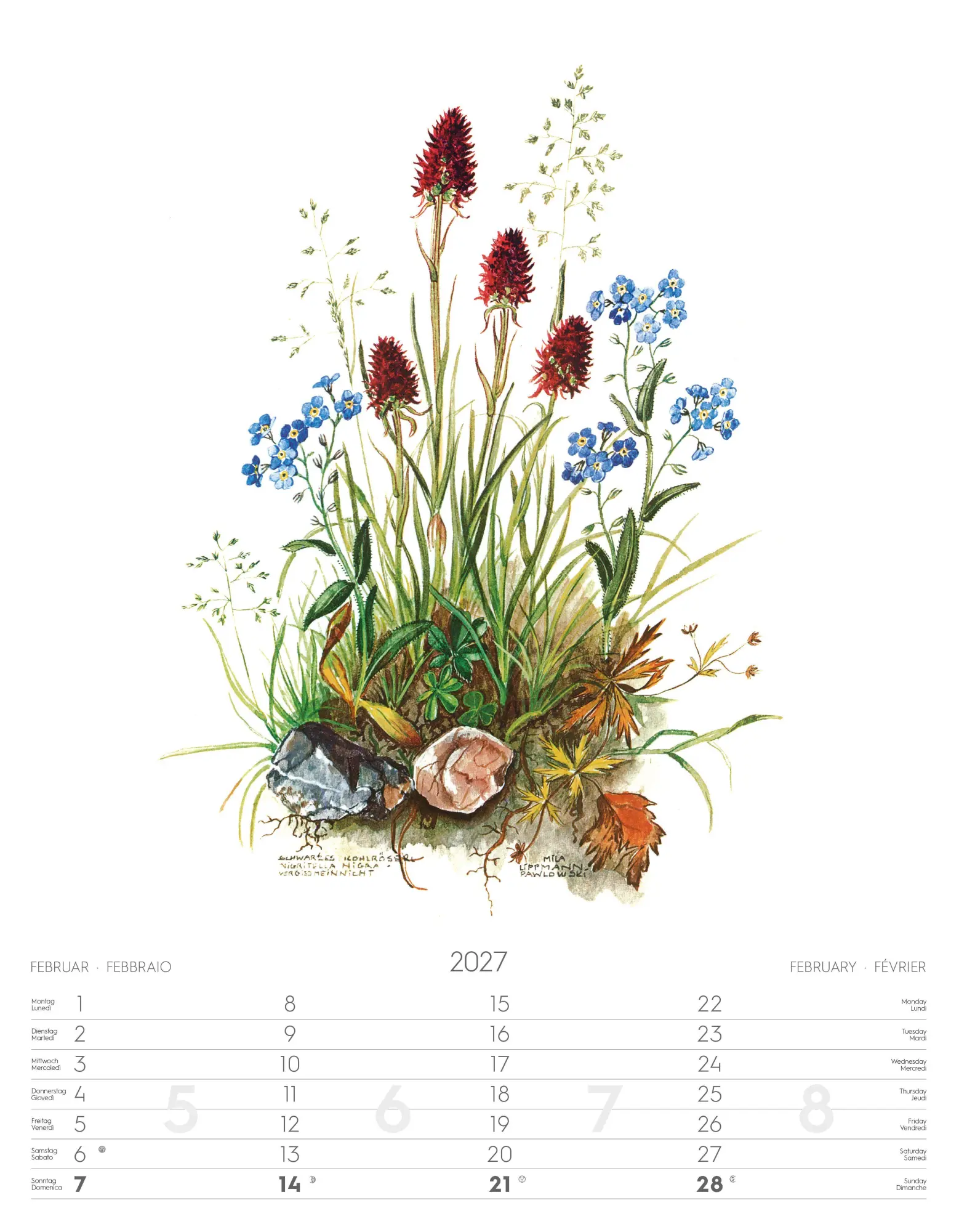 Bild: 9788868399108 | Alpenblumen-Aquarelle Kalender 2027 | Athesia-Tappeiner Verlag | 14 S.
