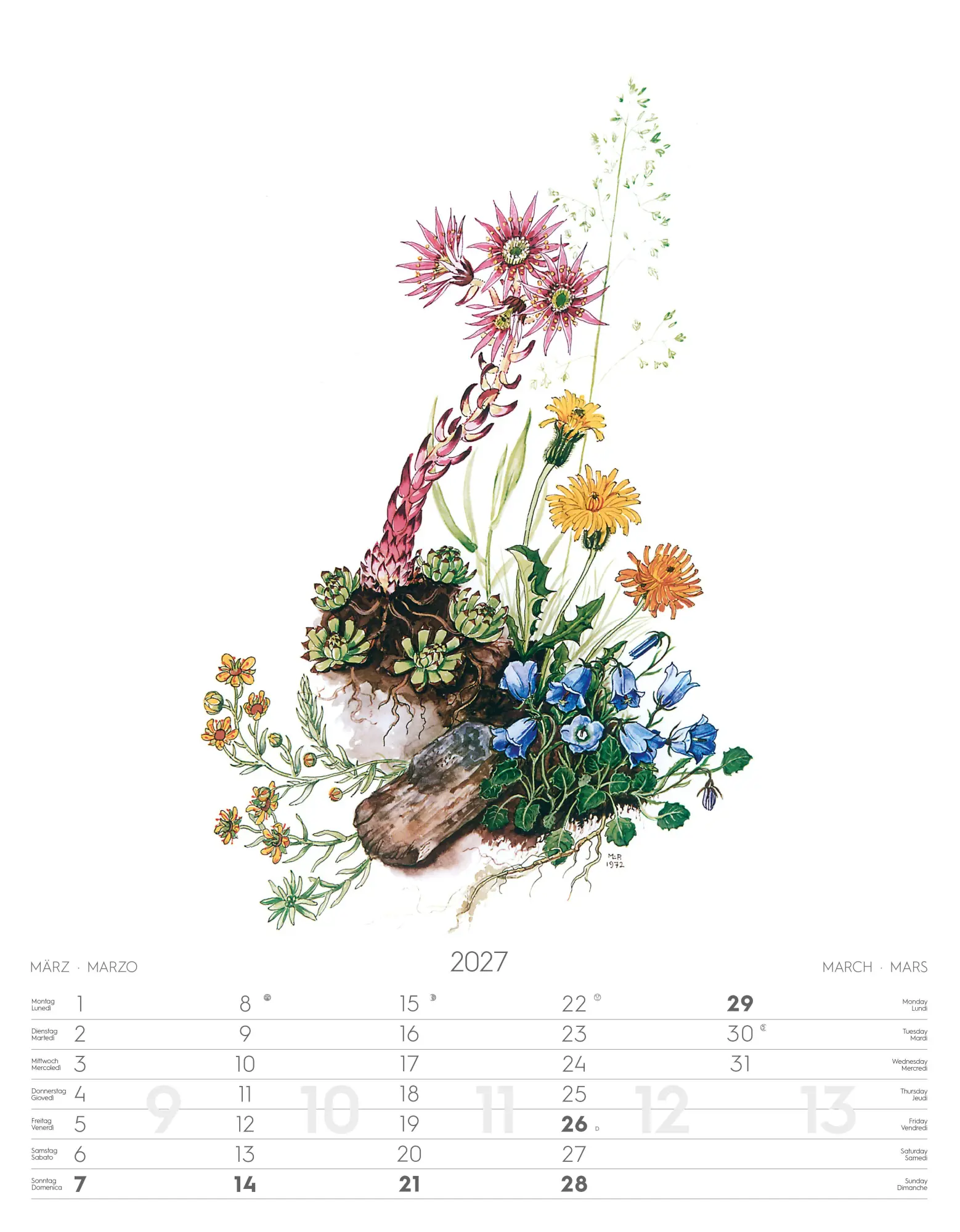 Bild: 9788868399108 | Alpenblumen-Aquarelle Kalender 2027 | Athesia-Tappeiner Verlag | 14 S.