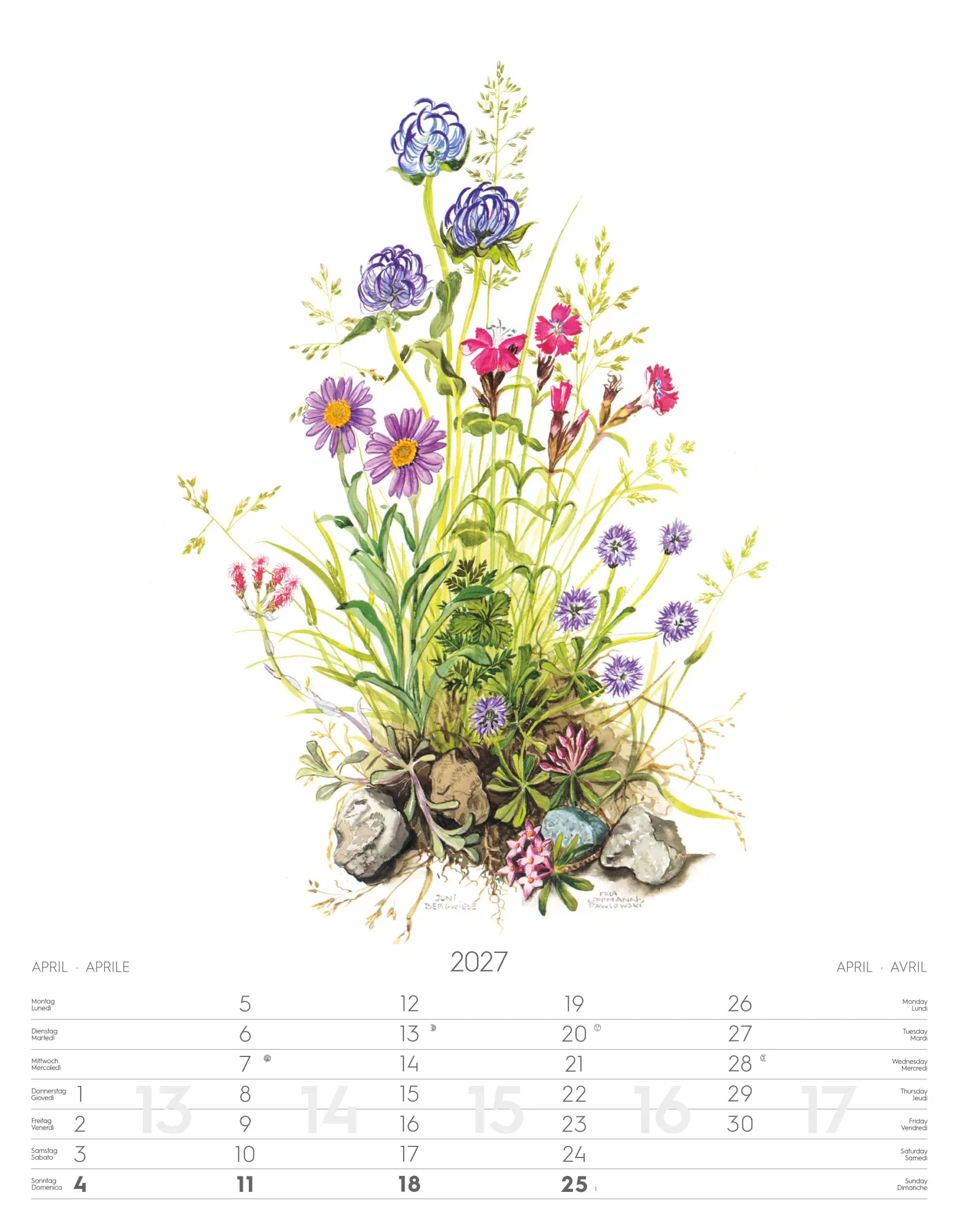 Bild: 9788868399108 | Alpenblumen-Aquarelle Kalender 2027 | Athesia-Tappeiner Verlag | 14 S.