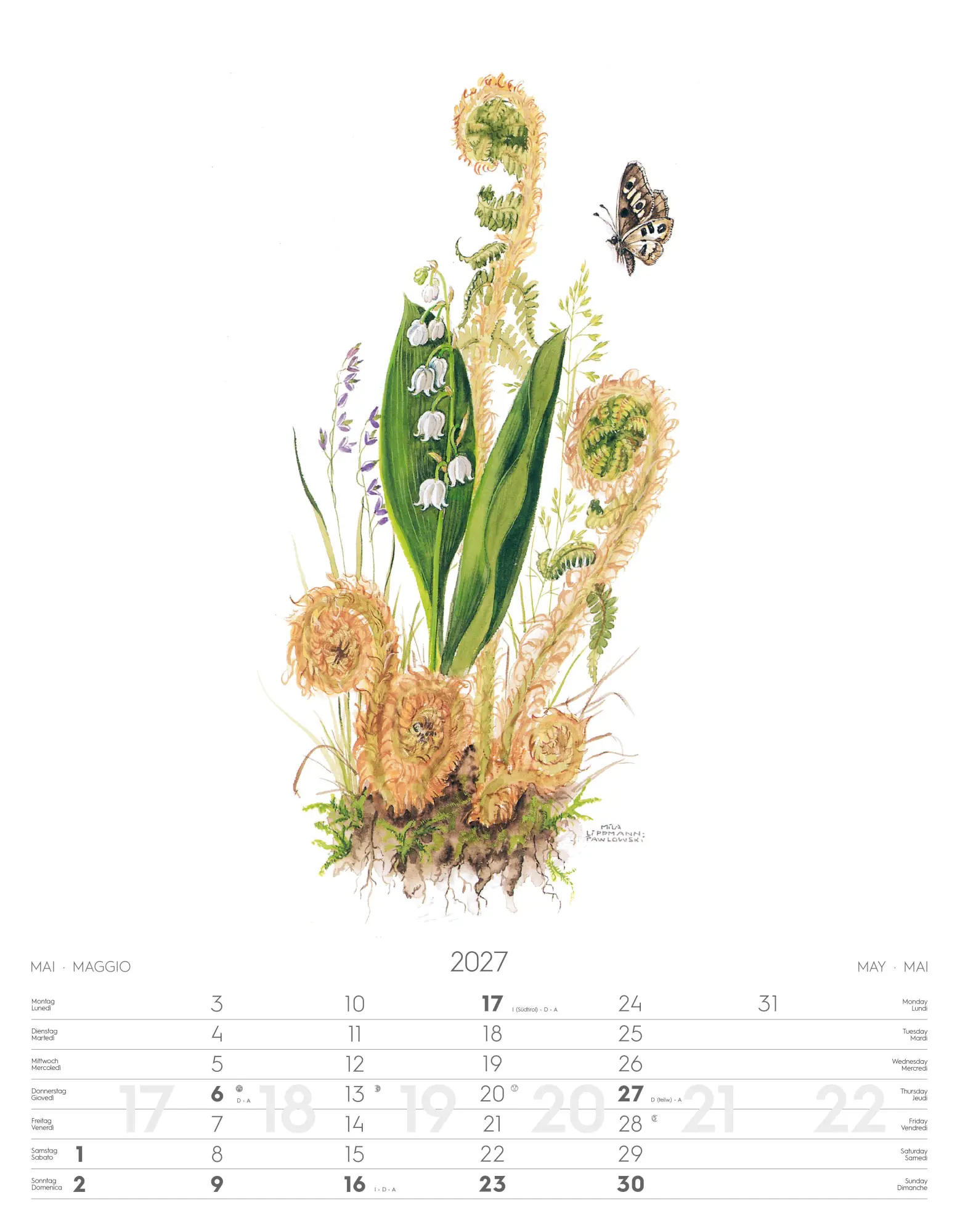 Bild: 9788868399108 | Alpenblumen-Aquarelle Kalender 2027 | Athesia-Tappeiner Verlag | 14 S.